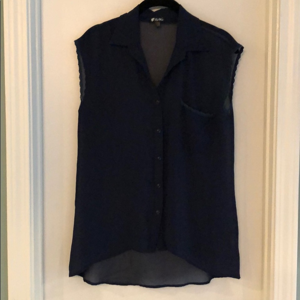 Sheer blue button-down sleeveless top